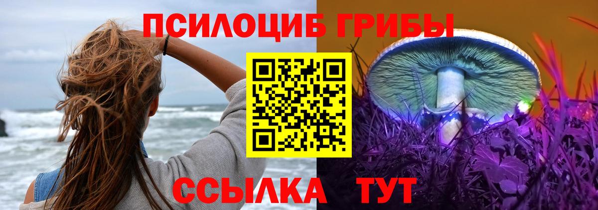 Псилоцибиновые грибы Psilocybine cubensis Нижний Новгород